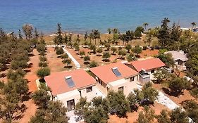 Terra Blue Suites - Dimitra